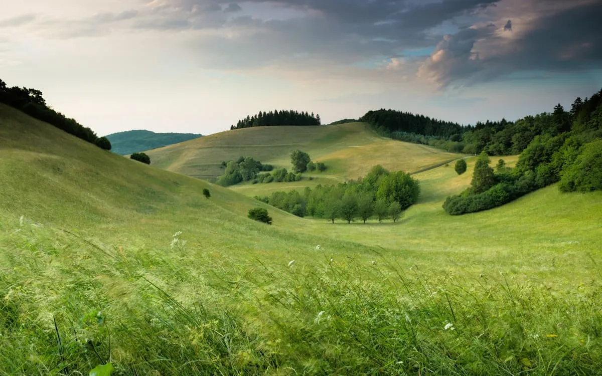 Meadowstoneworks